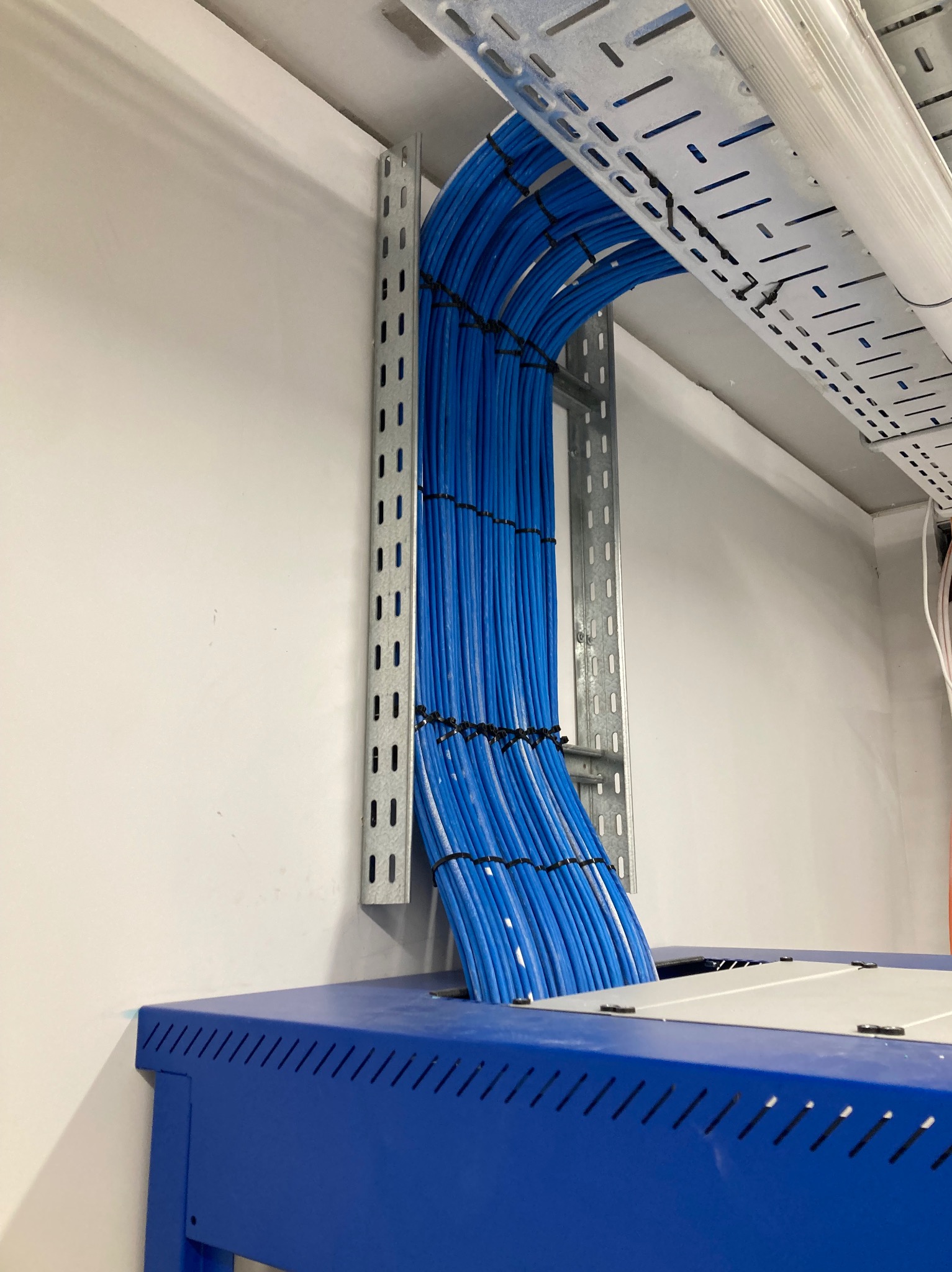 Równolegle ułożone niebieskie przewody elektryczne, przymocowane do metalowej drabinki na ścianie, widoczne elementy instalacji w pomieszczeniu technicznym.