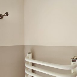 Rs ProSpray - 