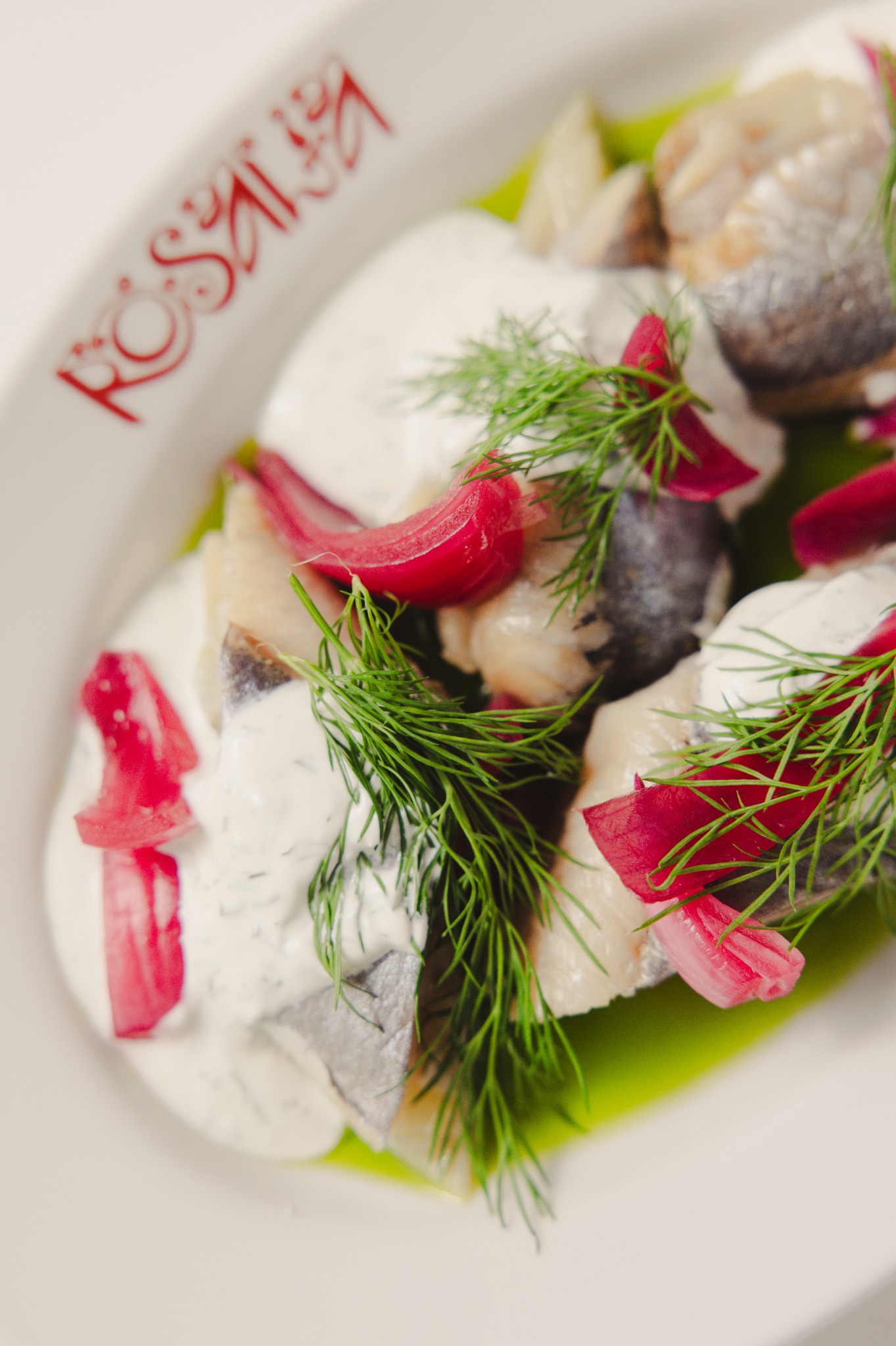 Śledź w śmietanie z czerwoną cebulą i koperkiem na białym talerzu z logo restauracji. Elegancka kompozycja dania, zbliżenie na detale.