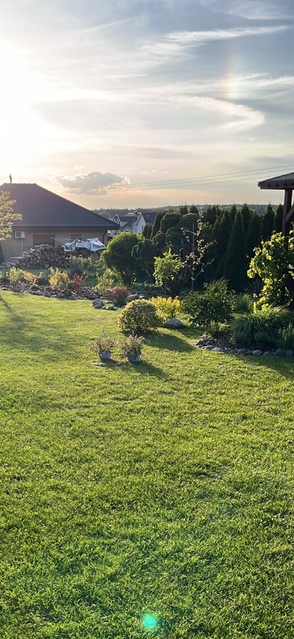 Zadbany ogród z równo przystrzyżonym trawnikiem, ozdobnymi krzewami i drzewami iglastymi w tle, oświetlony popołudniowym słońcem. Widoczne kwiaty w donicach.