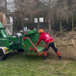 Wycinka drzew Rybnik 1