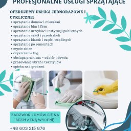 Sprzątanie mieszkań Białe Błota 1