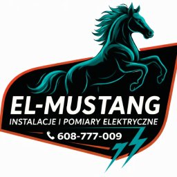EL-Mustang Łukasz Klimczyk - Instalatorstwo Elektryczne Kazimierza Wielka