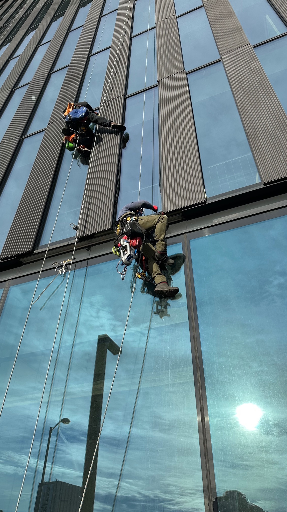 Dwóch alpinistów przemysłowych na linach czyści szklaną fasadę nowoczesnego biurowca. Widoczne odbicie nieba i słońca w oknach. Ujęcie z dołu.