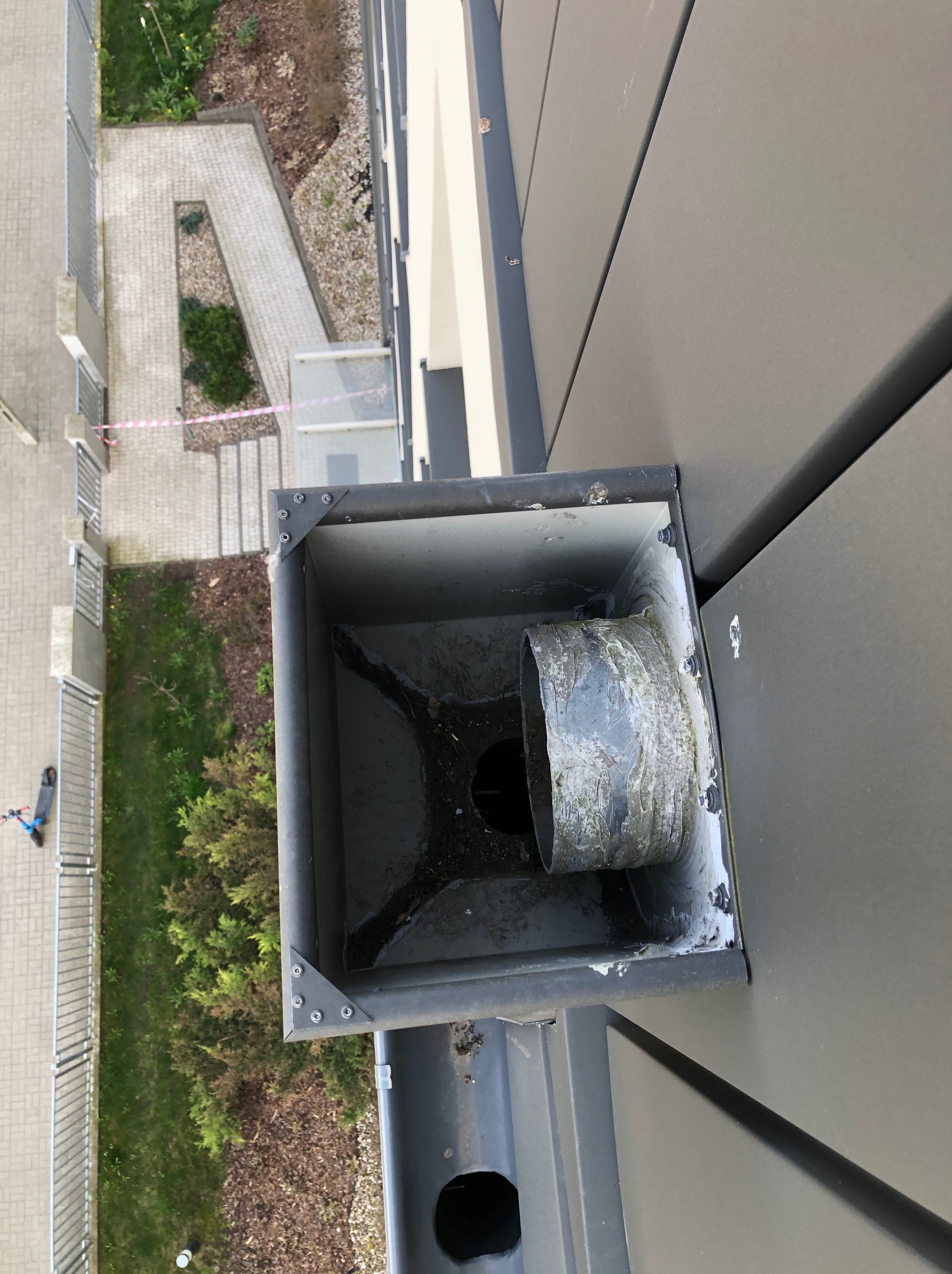 Zanieczyszczona rynna spustowa z widocznym wkładem rury, sfotografowana z góry na tle elewacji budynku i fragmentu terenu zielonego.