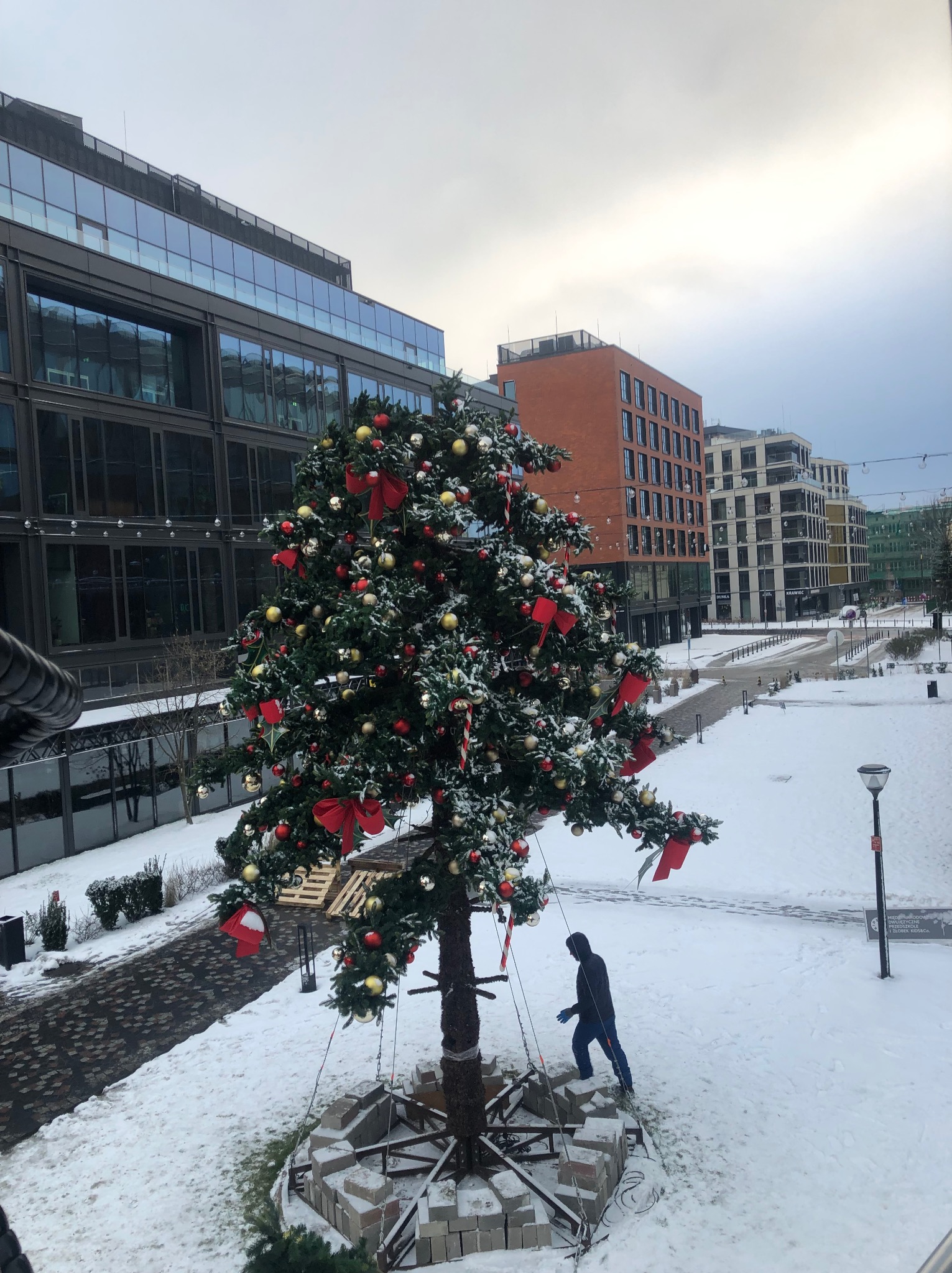 Ośnieżone otoczenie biurowca z dużą, udekorowaną choinką. Mężczyzna w ciemnej kurtce i niebieskich spodniach przechadza się obok drzewka. Zimowy krajobraz miejski.