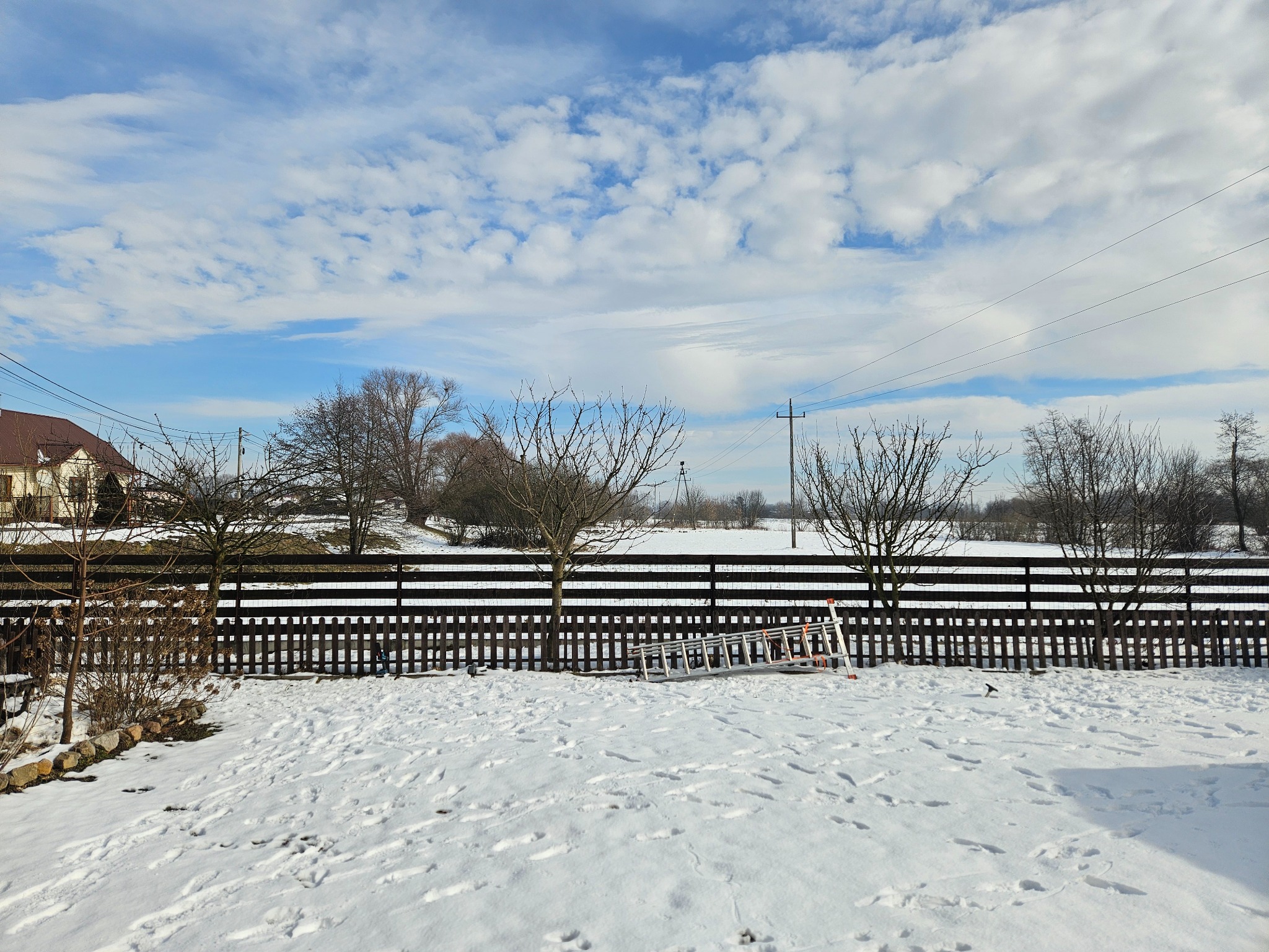 Stylozacja koron drzewek owocowych