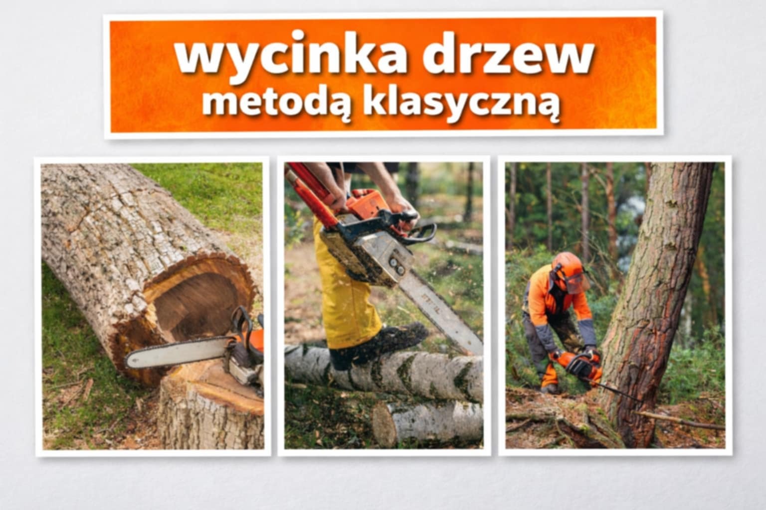 Kolaż: wycięty pień z piłą, operator piły łańcuchowej tnący kłodę, pracownik w kasku tnący drzewo. U góry napis: wycinka drzew metodą klasyczną.