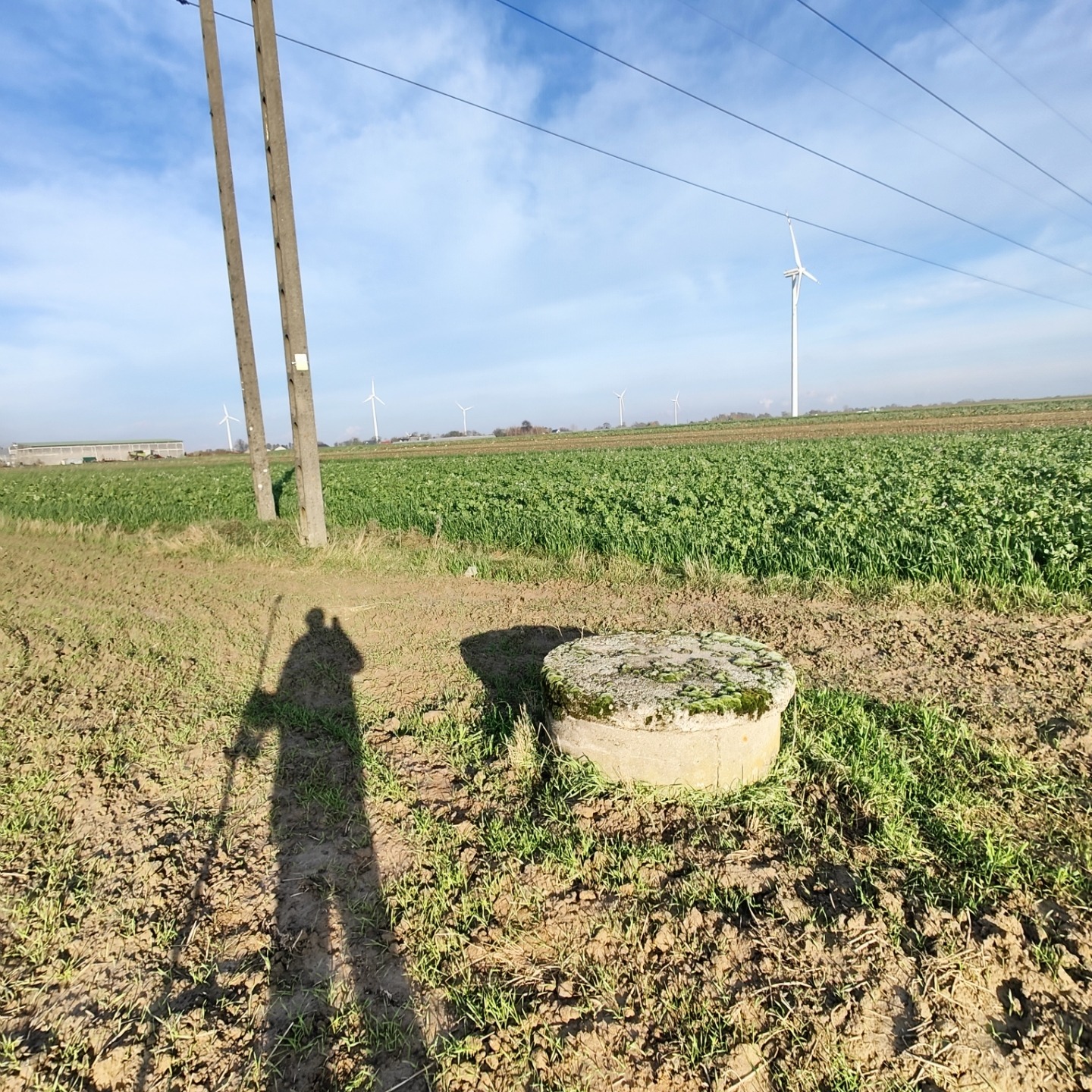 Cylindryczna studzienka z mchem na polu uprawnym, w tle turbiny wiatrowe i cień osoby z tyczką. Słoneczny dzień, błękitne niebo.
