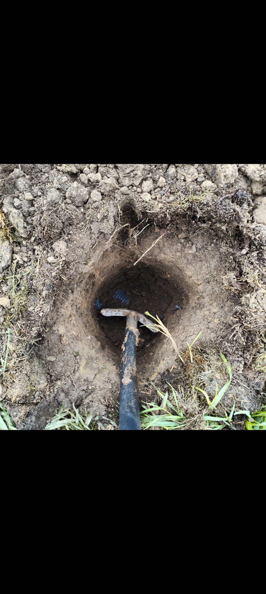 Wykopany otwór w ziemi z wbitym szpadlem, prawdopodobnie pod pomiar geodezyjny we Wrocławiu. Widoczne korzenie i fragment niebieskiej rury w dole.