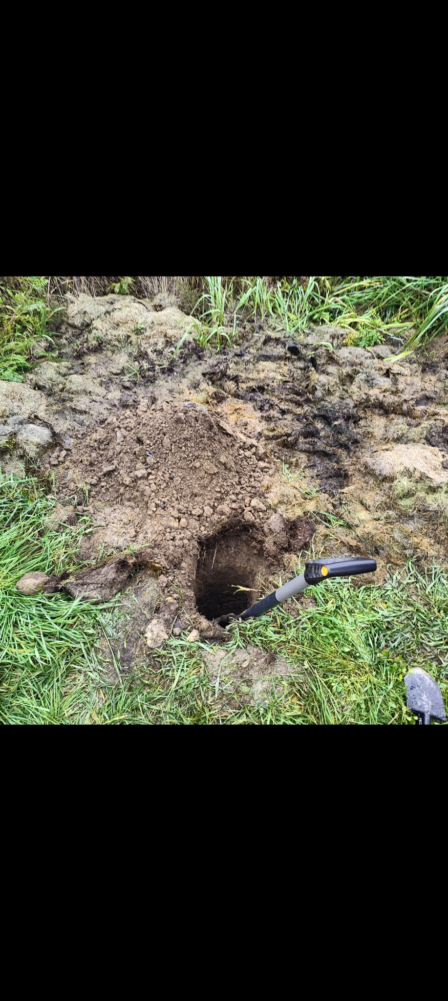 Wykopany dół w ziemi z widocznym narzędziem pomiarowym, prawdopodobnie sonda. Zielona trawa i błotniste podłoże w tle. Prace terenowe.