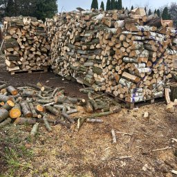 Wynajem sprzętu i urządzeń Marcel Roczyna - Stosy pociętego drewna kominkowego, ułożone na paletach, z widocznymi kawałkami kory brzozowej i drobnymi gałęziami na ziemi. W tle zieleń drzew.