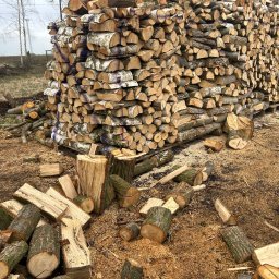 Wynajem sprzętu i urządzeń Marcel Roczyna - Stos drewna kominkowego z brzozy i innych gatunków, przygotowanego do sezonu grzewczego w Maciowakrze. Widoczne polana i szczapy na ziemi.