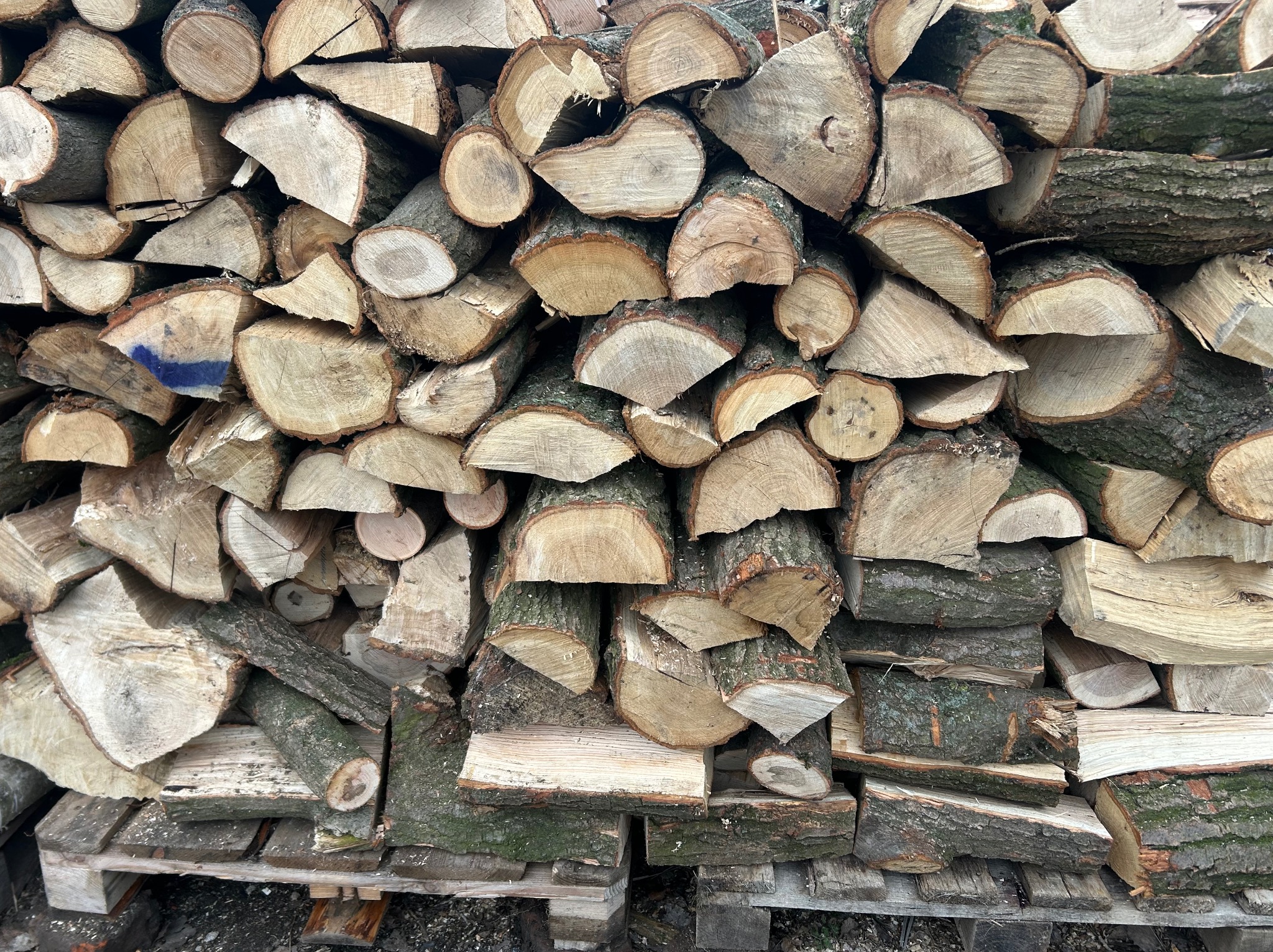 Ułożone na palecie pocięte kawałki drewna kominkowego z widocznymi słojami i korą, niektóre z niebieskim oznaczeniem. Drewno przygotowane do sezonu grzewczego.