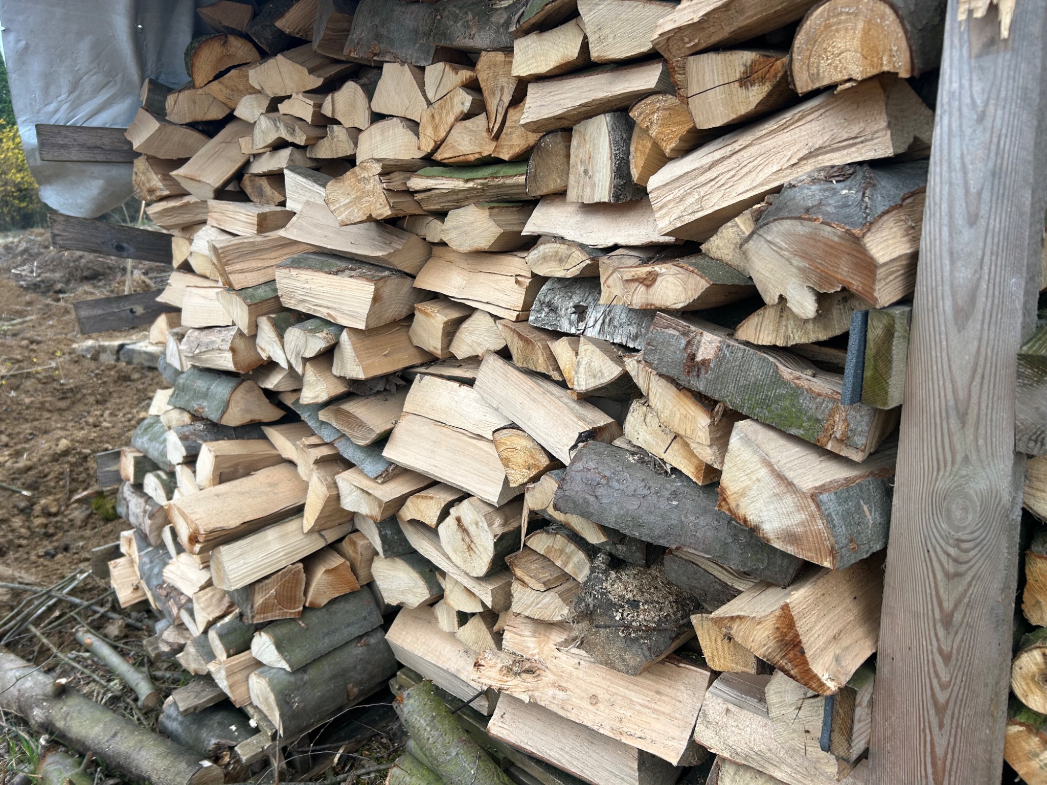 Ułożony stos pociętego drewna opałowego, zabezpieczony drewnianą konstrukcją i plandeką. Widoczne różne odcienie drewna i kora. Tło ziemiste.
