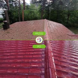 KRIS NA CIŚNIENIU Krzysztof Piwiński - Dachówka przed i po renowacji, oddzielona zieloną linią. Górna część brudna, dolna lśniąca, w odcieniach czerwieni. Widok z góry, w tle drzewa.