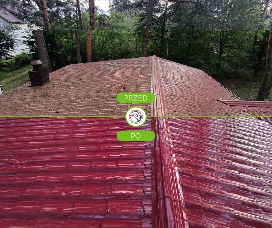 Dachówka przed i po renowacji, oddzielona zieloną linią. Górna część brudna, dolna lśniąca, w odcieniach czerwieni. Widok z góry, w tle drzewa.