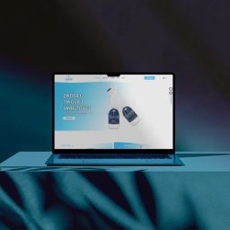 Tworzenie stron internetowych Zielona Góra 4