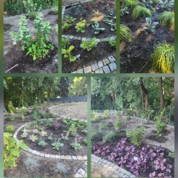 ZIELONY KONKRET - Koszenie Traw Miękinia