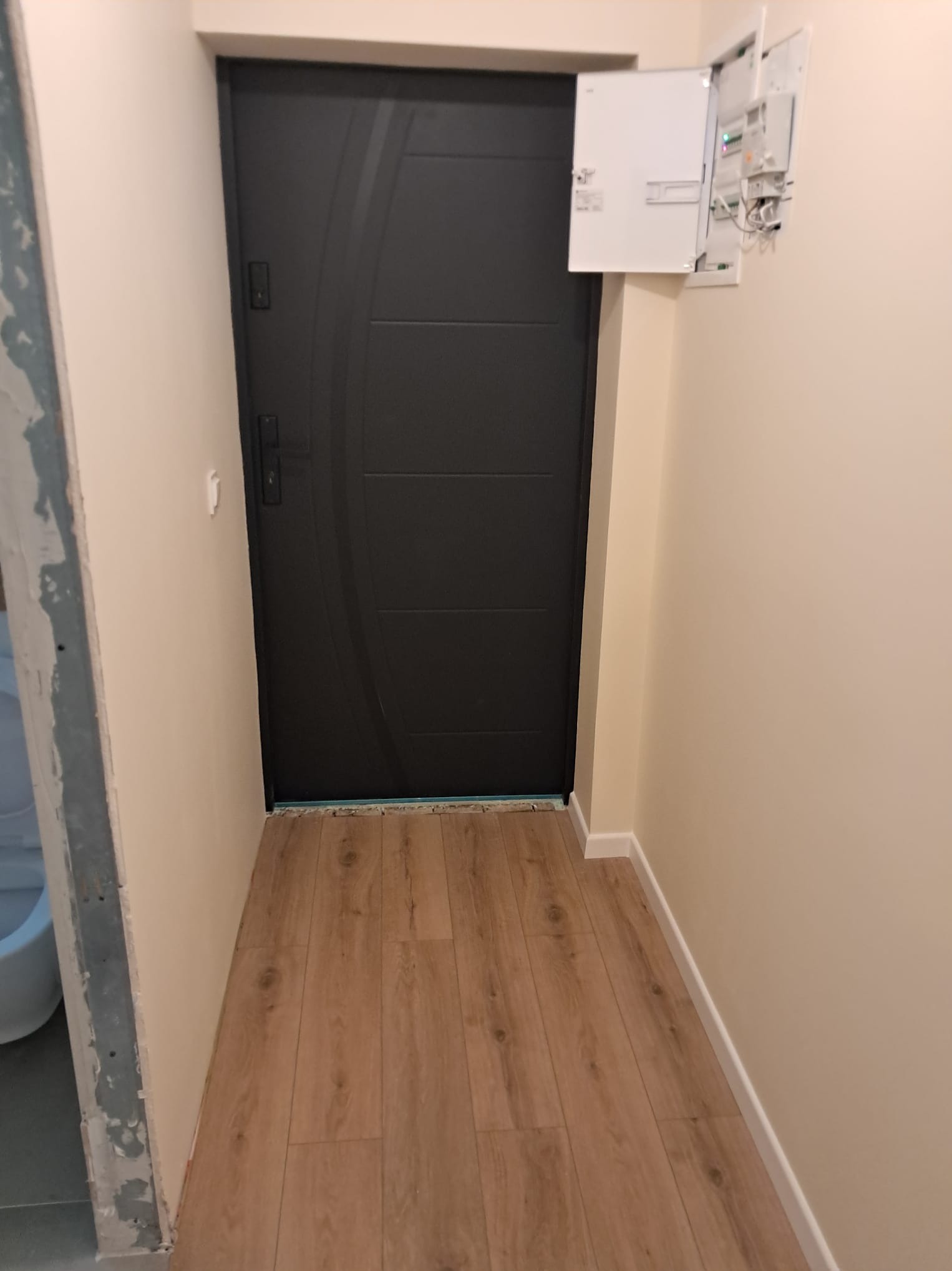 Nowoczesne drzwi wejściowe w korytarzu z panelami podłogowymi i świeżo pomalowanymi ścianami. Widoczna skrzynka elektryczna. Fragment toalety w tle.