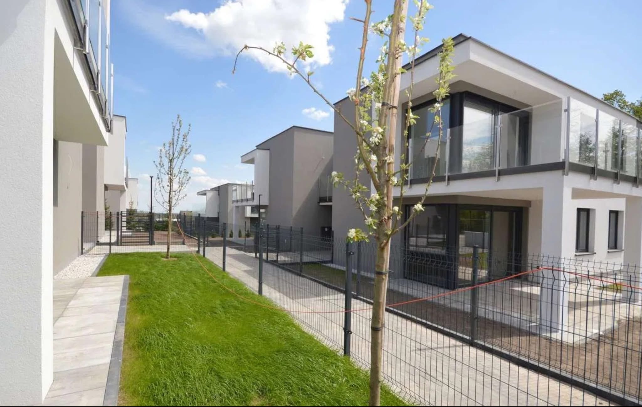 Nowoczesne osiedle domów jednorodzinnych z szarymi ogrodzeniami panelowymi i zielonymi trawnikami w słoneczny dzień. Wiosenne drzewko na pierwszym planie.