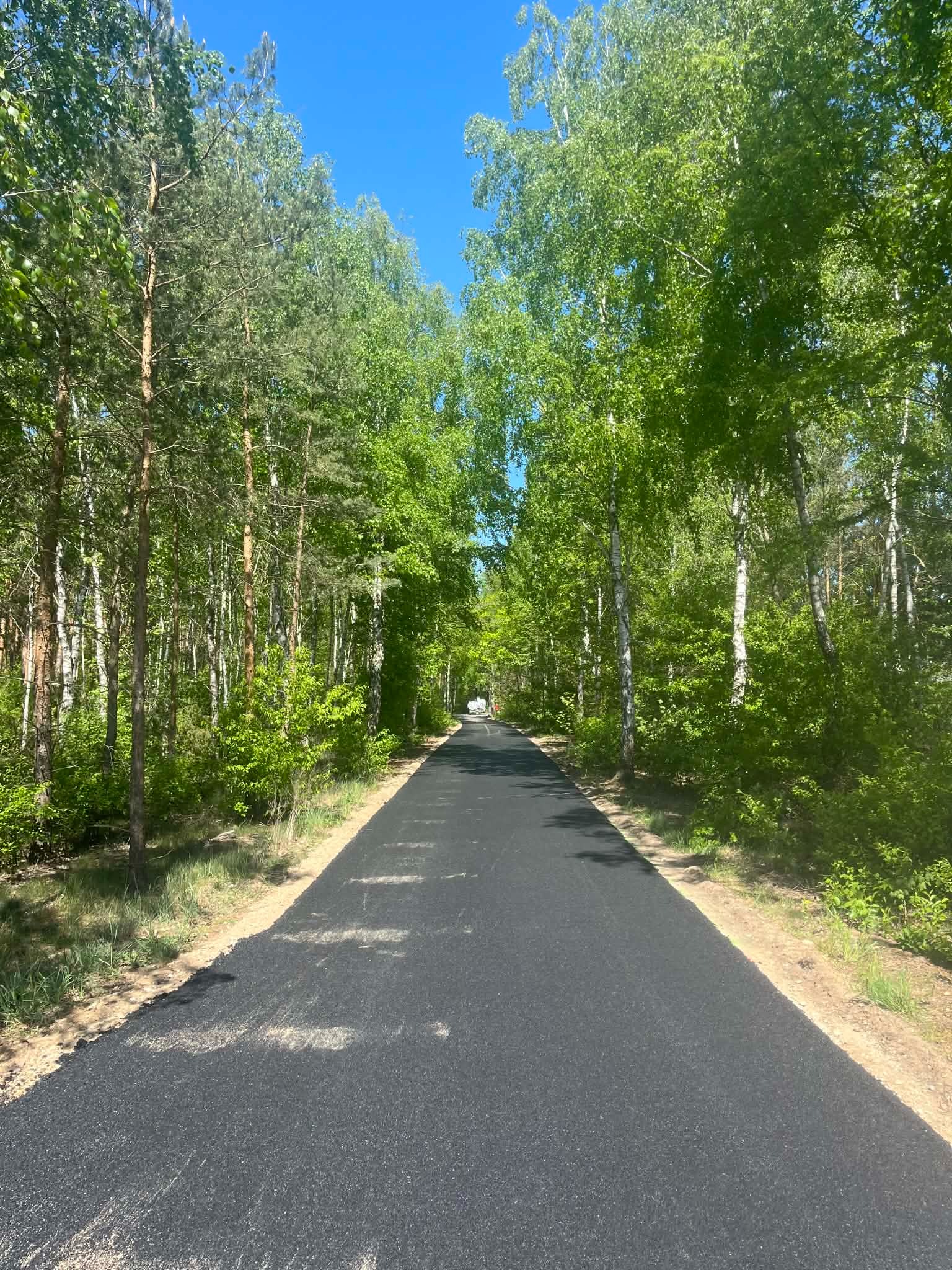 Nowa, czarna nawierzchnia asfaltowa drogi leśnej, otoczona zielenią drzew i krzewów w słoneczny dzień. Perspektywa z poziomu drogi, widok w dal.