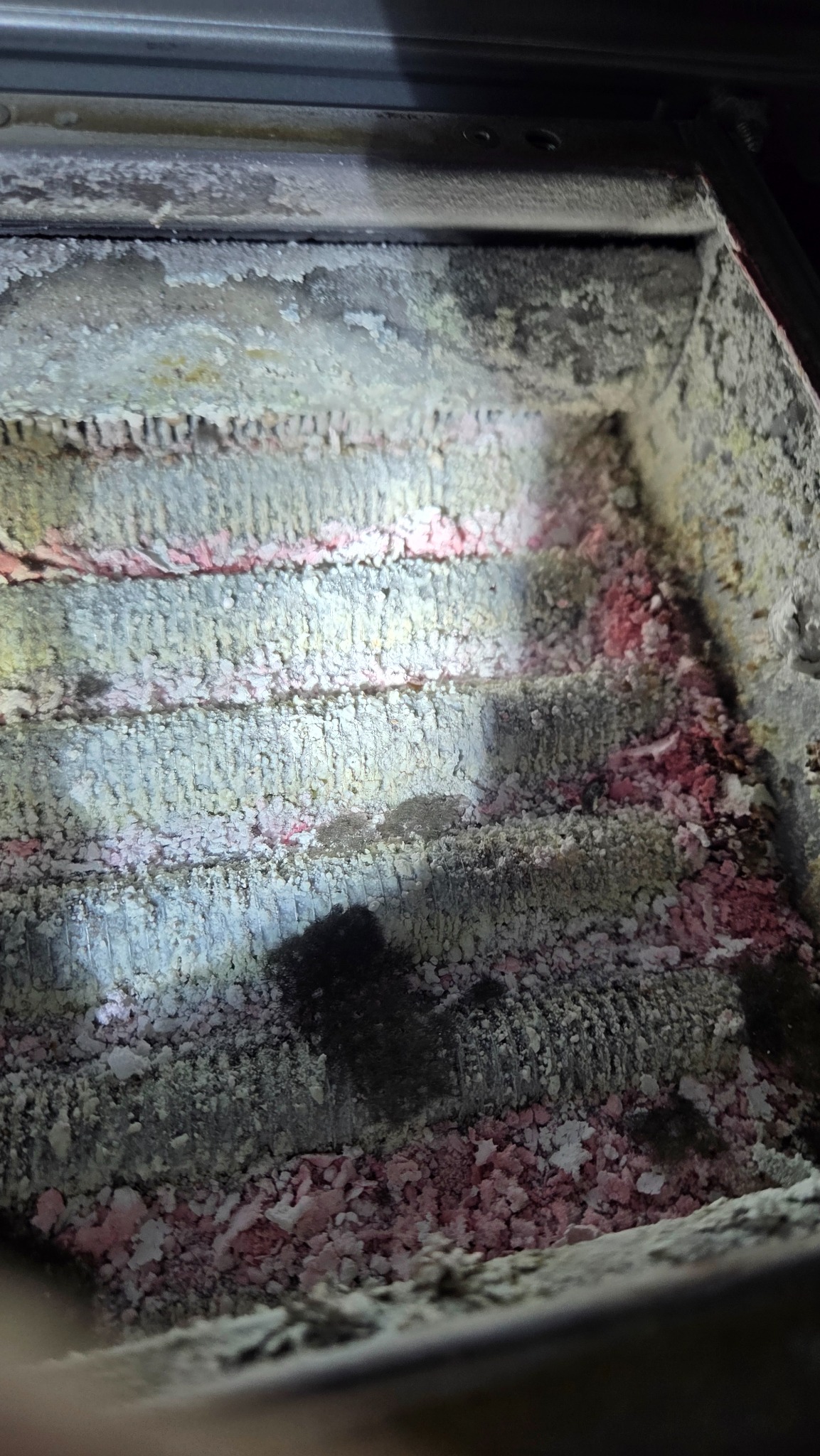 Zanieczyszczone wnętrze pieca gazowego z widocznymi osadami i korozją na elementach grzewczych. Niejednolita powierzchnia z różowymi i białymi nalotami.