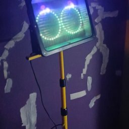 Dezynsekcja i deratyzacja Racibórz 3