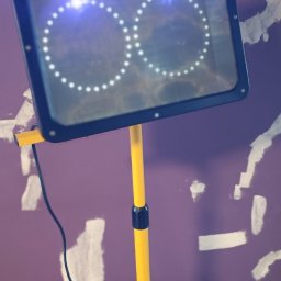 Dezynsekcja i deratyzacja Racibórz 4