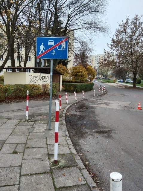 Znak drogowy informujący o końcu strefy ruchu pieszego, samochodowego i rekreacyjnej. Słupki oddzielające chodnik od jezdni. Asfaltowa droga w tle.