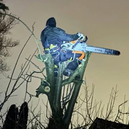 Timber Work Marek Góral