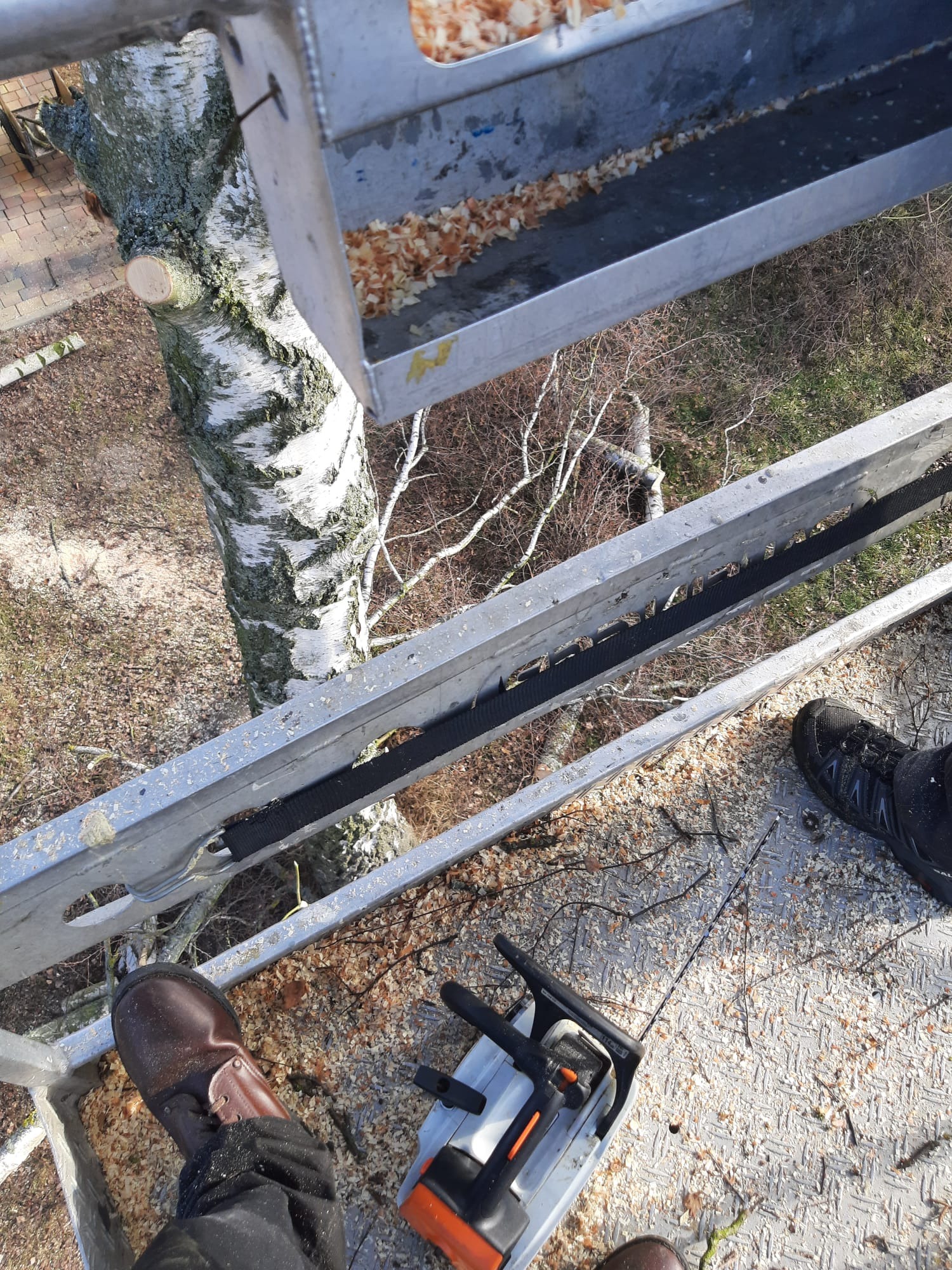 Widok z góry na platformę roboczą z piłą łańcuchową i obciętym pniem brzozy. Wióry na platformie i w koszu. Praca na wysokościach.