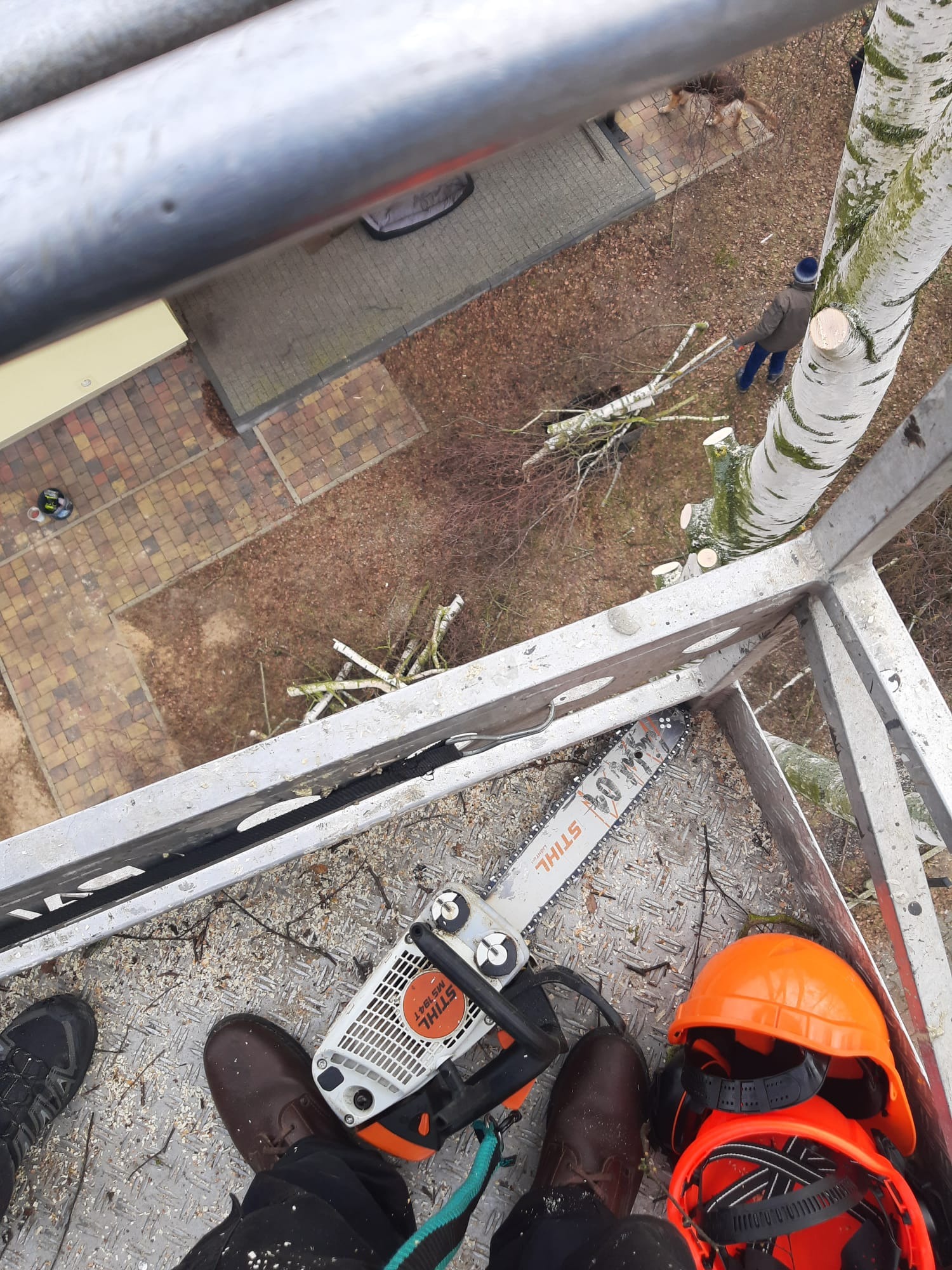 Widok z góry na platformę z piłą łańcuchową Stihl, kaskiem i obciętą brzozą. W tle budynek i pracownik w trakcie pracy. Etap wycinki drzewa.