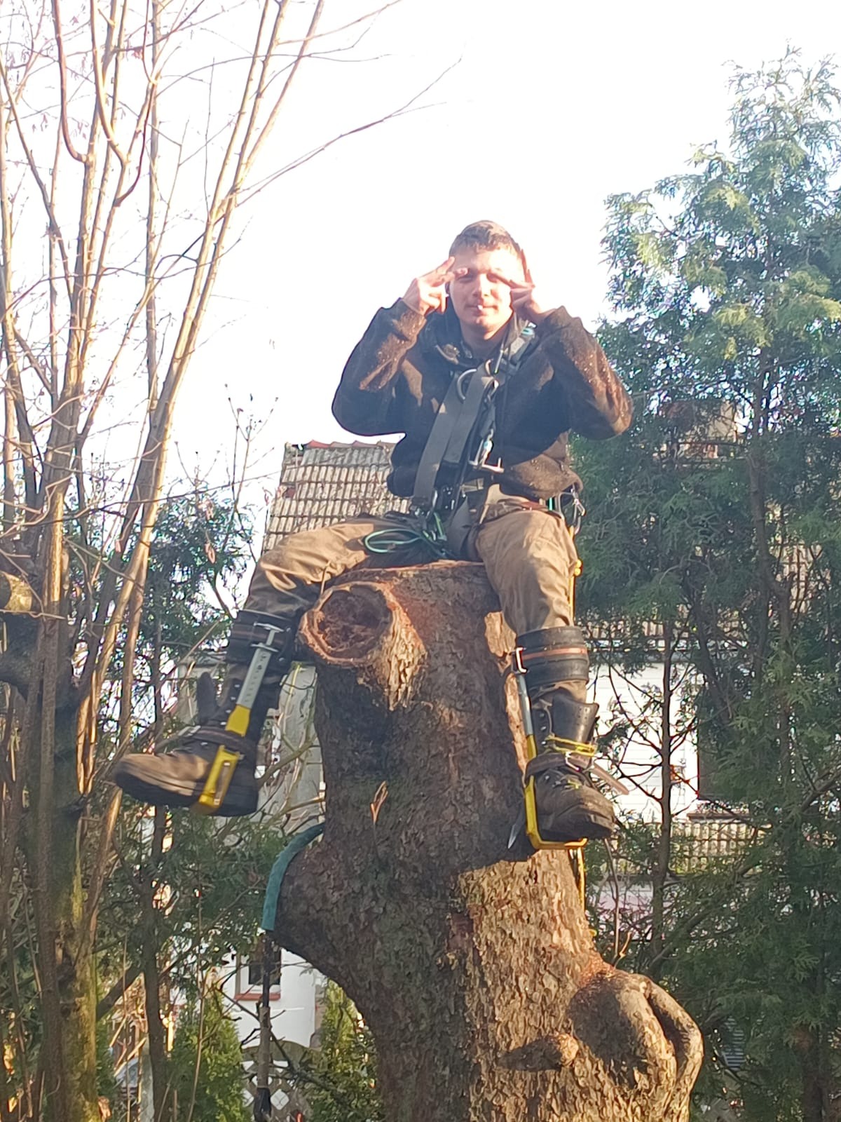 Arborysta w uprzęży i specjalnych butach siedzi na pniu po wycince, pokazując palcami oczy. W tle drzewa i dach budynku.