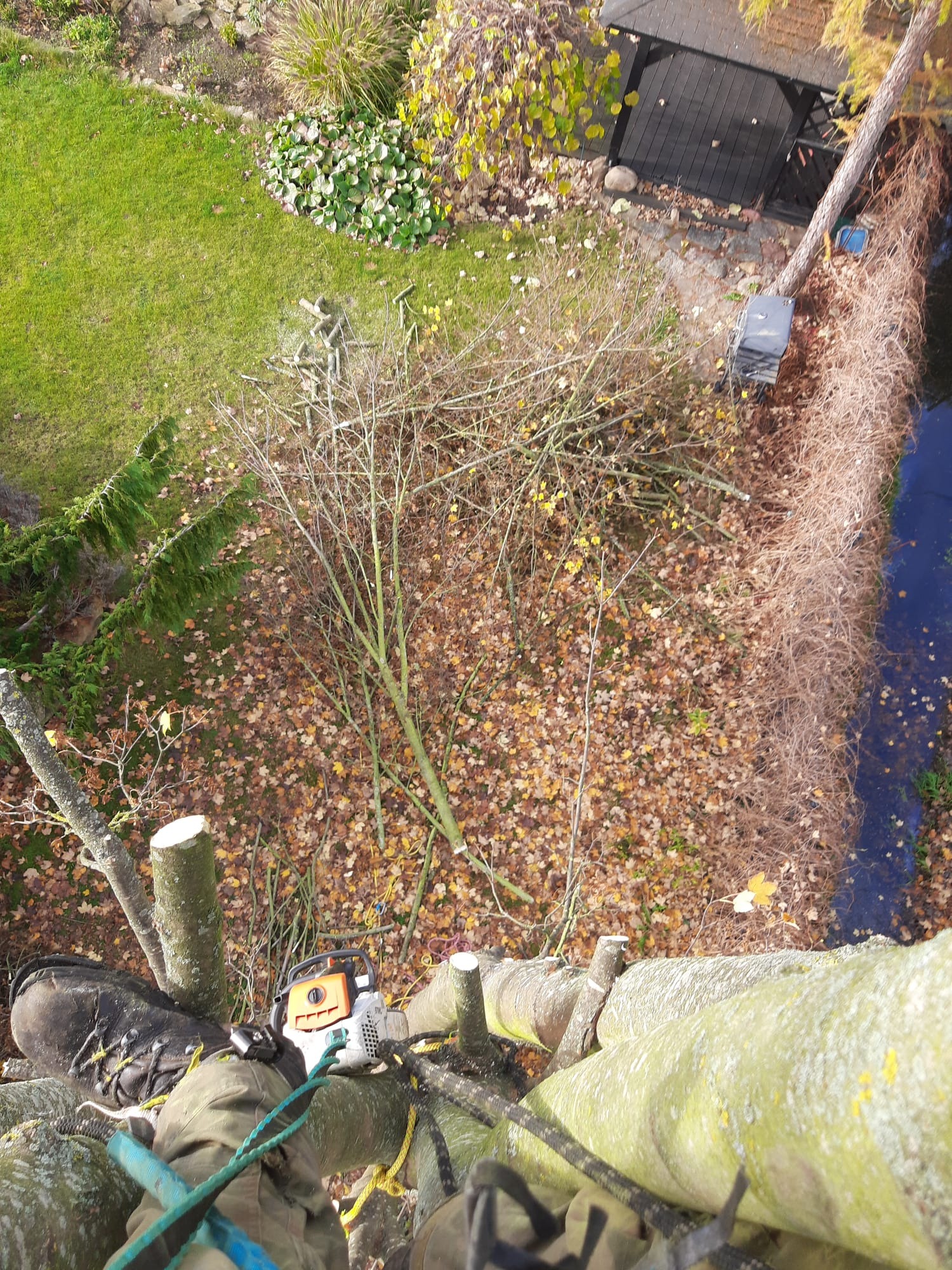 Widok z góry na pocięte gałęzie drzewa, leżące na ziemi pokrytej liśćmi, obok stawu. W kadrze widoczna piła spalinowa i noga w bucie na drzewie.