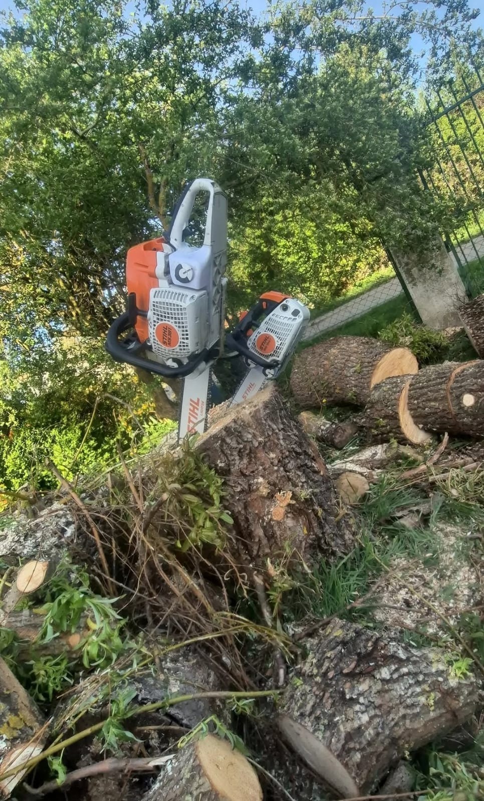 Dwie pilarki Stihl spoczywają na pniu po wycince drzewa, obok leżą pocięte kawałki drewna. W tle zieleń drzew i krzewów.