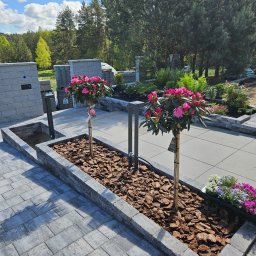 Układanie kostki brukowej Łubiana 3