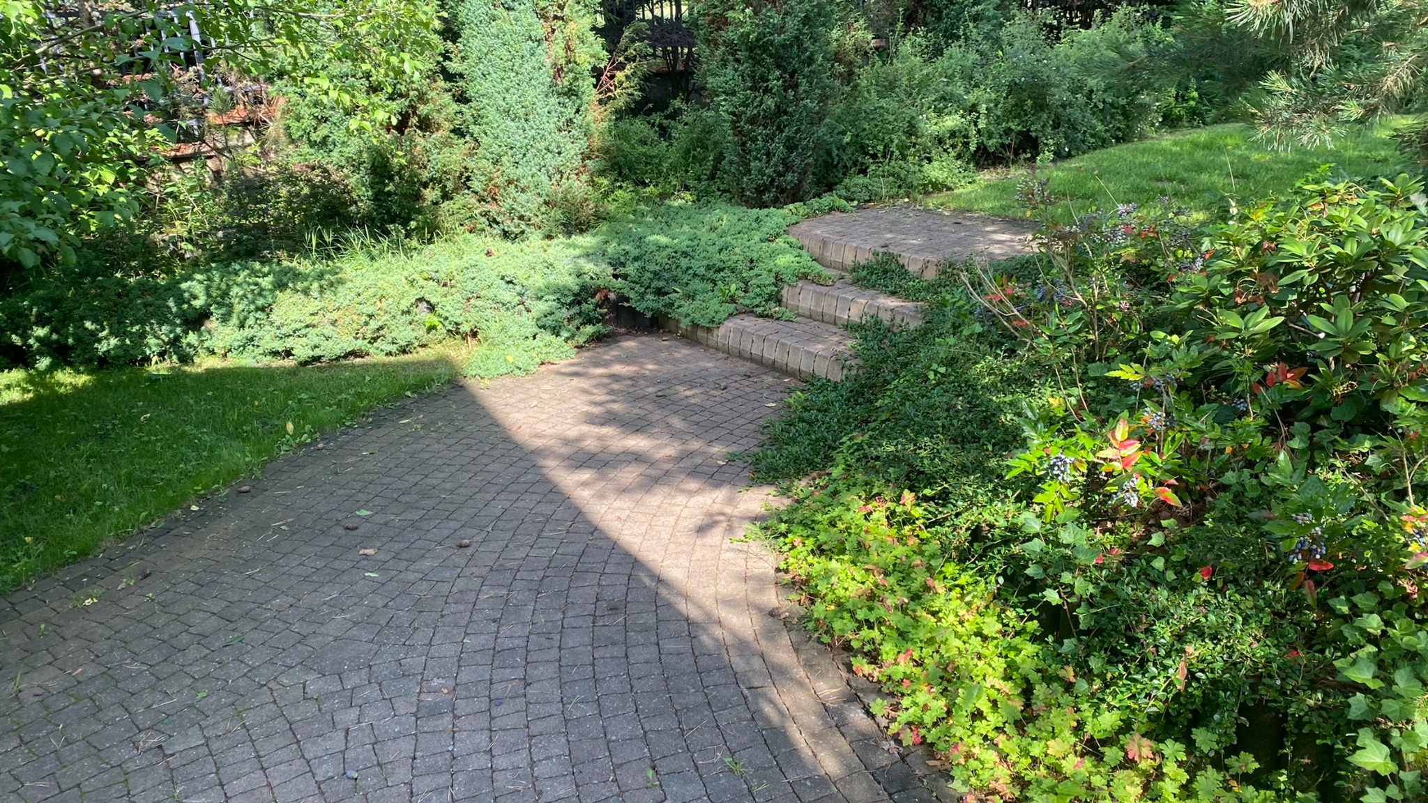 Ciemnoszara kostka brukowa ułożona w łuk, prowadząca do kamiennych schodów w otoczeniu zieleni. Część kostki oświetlona słońcem, reszta w cieniu.