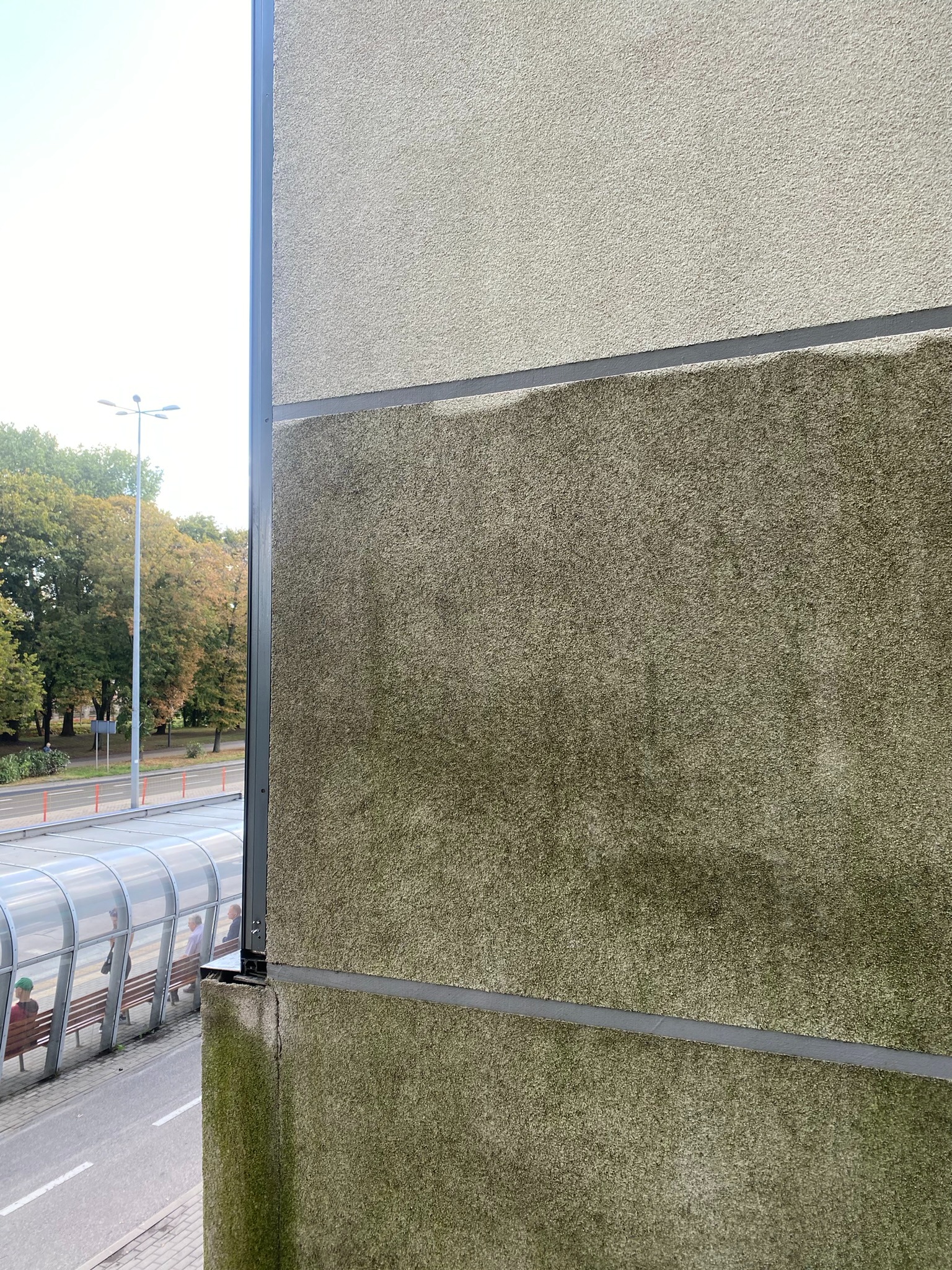 Fragment elewacji budynku z widocznym zabrudzeniem i mchem, z perspektywy okna. W tle zieleń drzew i przystanek autobusowy.