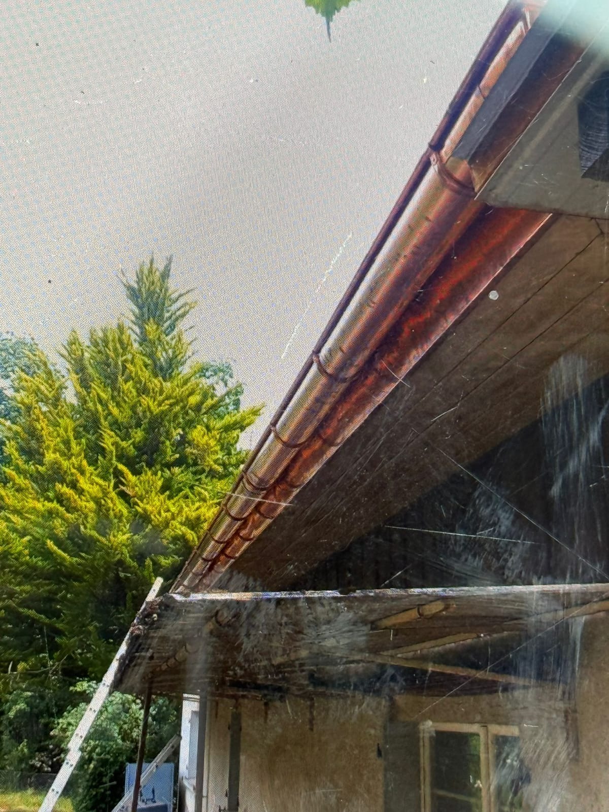 Miedziana rynna dachowa po czyszczeniu, widoczny fragment dachu i drabina oparta o budynek na tle zielonego drzewa. Ujęcie z dołu.