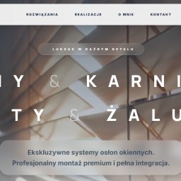 Tworzenie stron internetowych Poznań 1