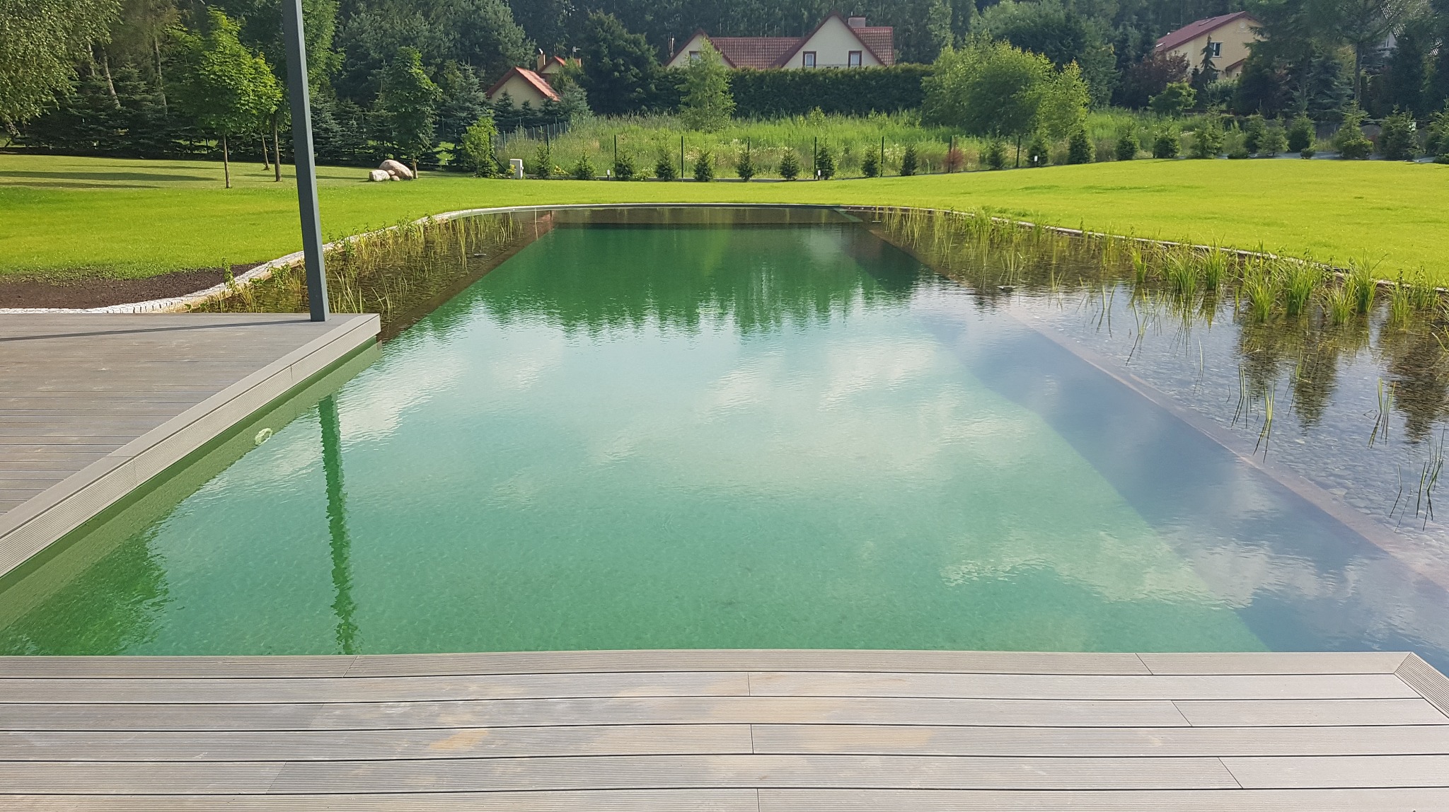 Naturalny basen z drewnianym tarasem, otoczony zielenią i roślinnością wodną. Woda o barwie zieleni, odbija niebo. W tle domy z czerwonymi dachami.