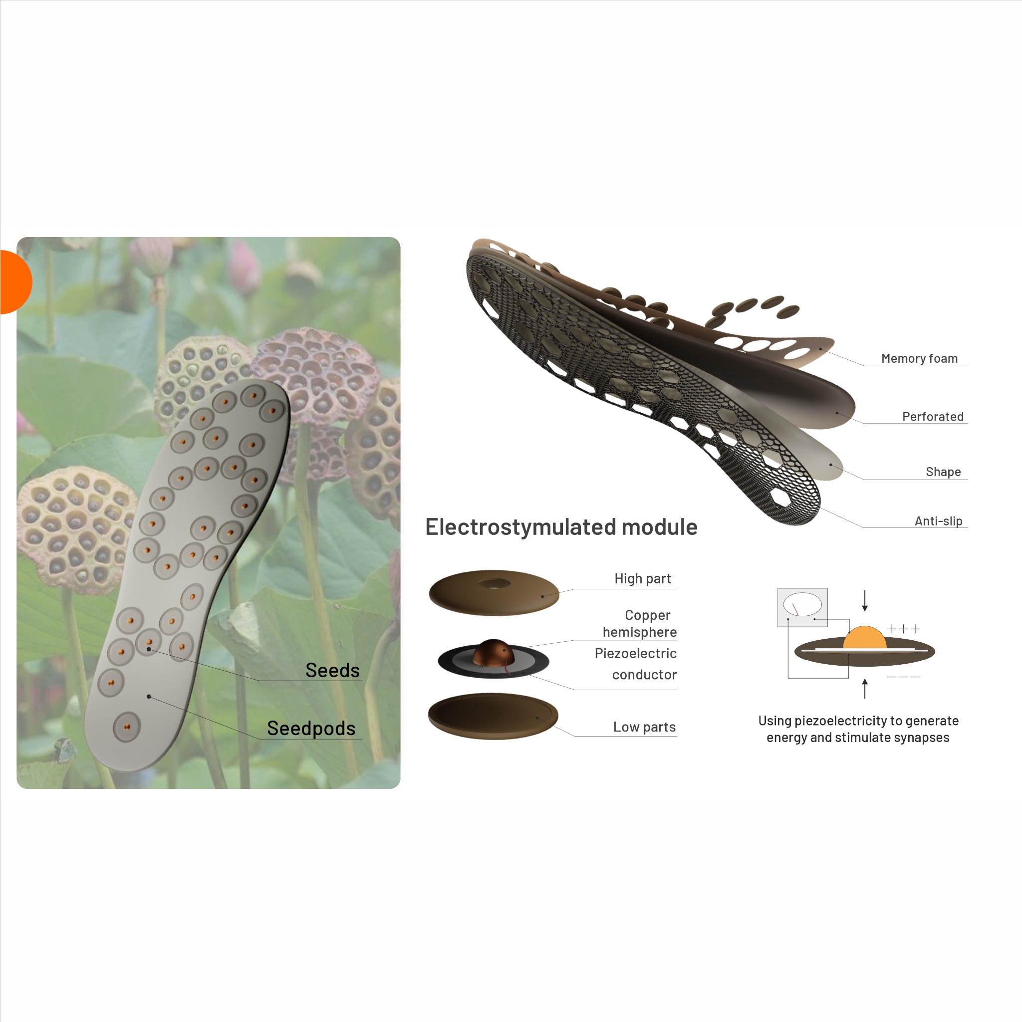 Innowacyjna wkładka do butów z modułem elektrostymulacji, rozłożona na warstwy, ukazująca budowę i zasadę działania. Inspiracja naturą - nasiona lotosu.