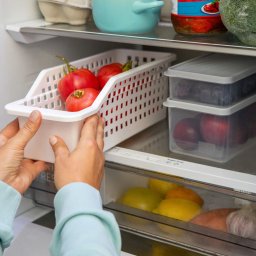 SARA STUDIO - Wnętrze lodówki z białym koszykiem pełnym czerwonych pomidorów, układanym przez osobę. Na półkach pojemniki z owocami i warzywami, zapewniające świeżość.