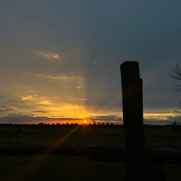 TwinView DroneFilm&Foto - Zachód słońca nad polami, widziany przez drewniane ogrodzenie. Ciepłe barwy nieba kontrastują z ciemnym pierwszym planem. Promienie słońca przebijają się przez chmury.