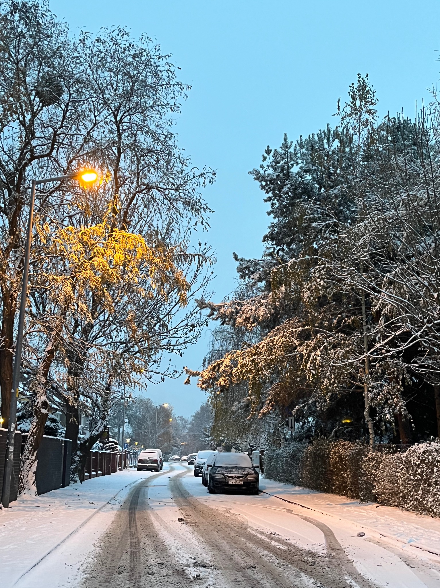 Zimowy krajobraz miejski: ulica pokryta śniegiem, oświetlona latarnią, z zaparkowanymi samochodami i drzewami oblepionymi śniegiem. Chłodna, błękitna tonacja nieba.