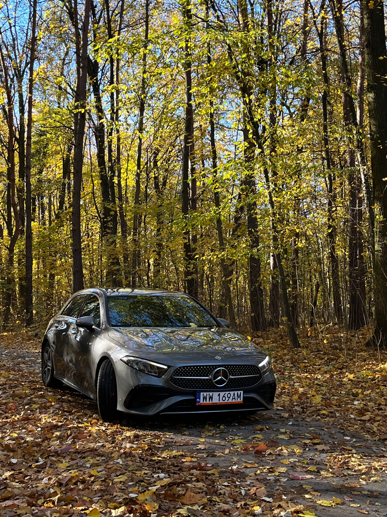 Szary Mercedes klasy A na tle jesiennego lasu z opadłymi liśćmi. Tablica rejestracyjna widoczna. Ujęcie z niskiej perspektywy, podkreślające sylwetkę auta.