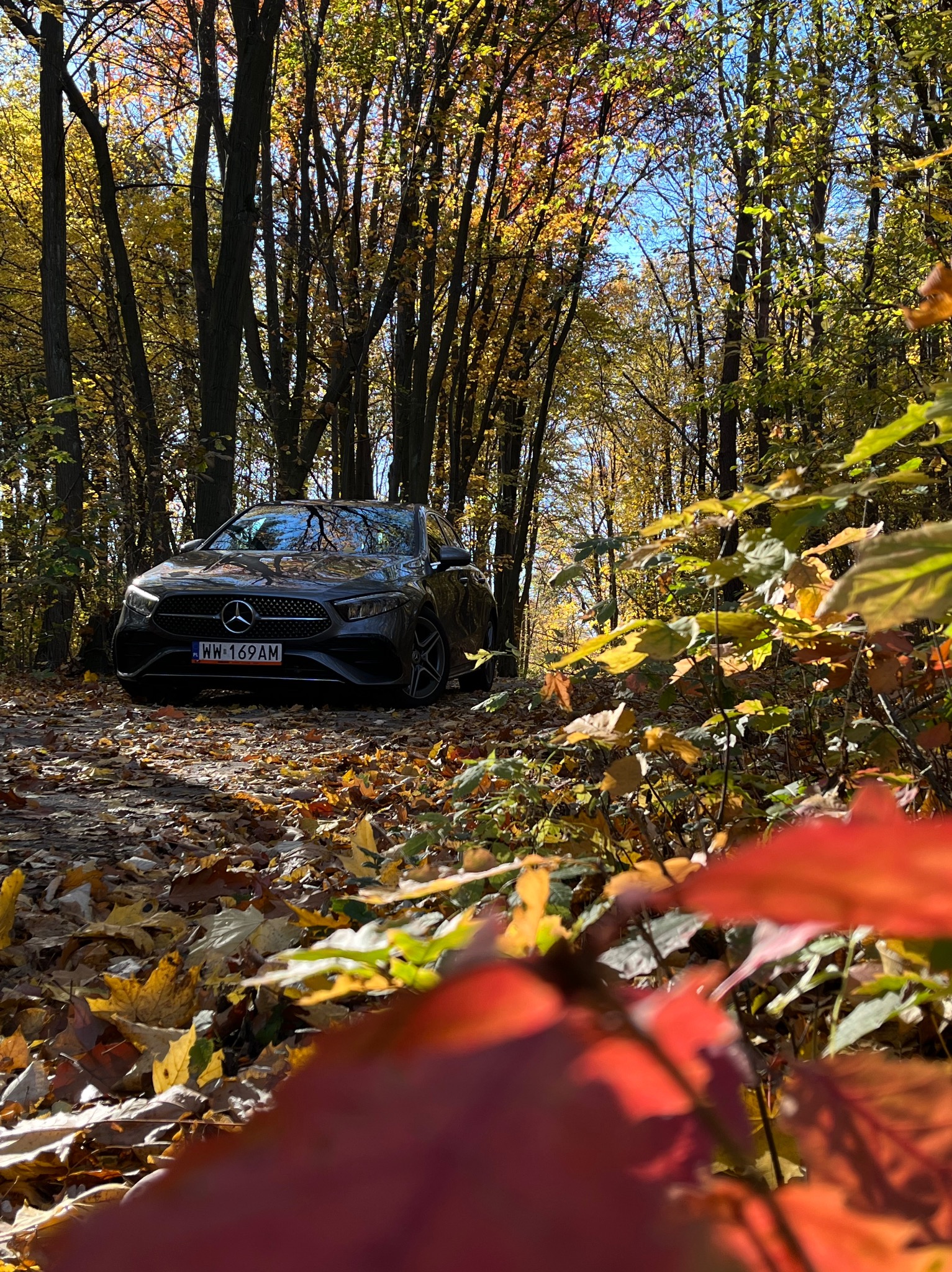 Szary samochód Mercedes na leśnej drodze usłanej liśćmi w jesiennej scenerii, z widoczną tablicą rejestracyjną WW-169AM.