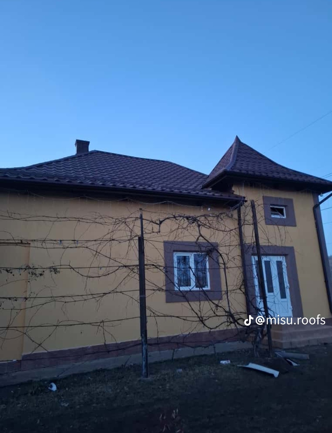 Dom z nowym, brązowym dachem z dachówki bitumicznej, widoczny z poziomu gruntu, z fragmentem ogrodu i pnączami na pierwszym planie. Ujęcie przy zachmurzonym niebie.