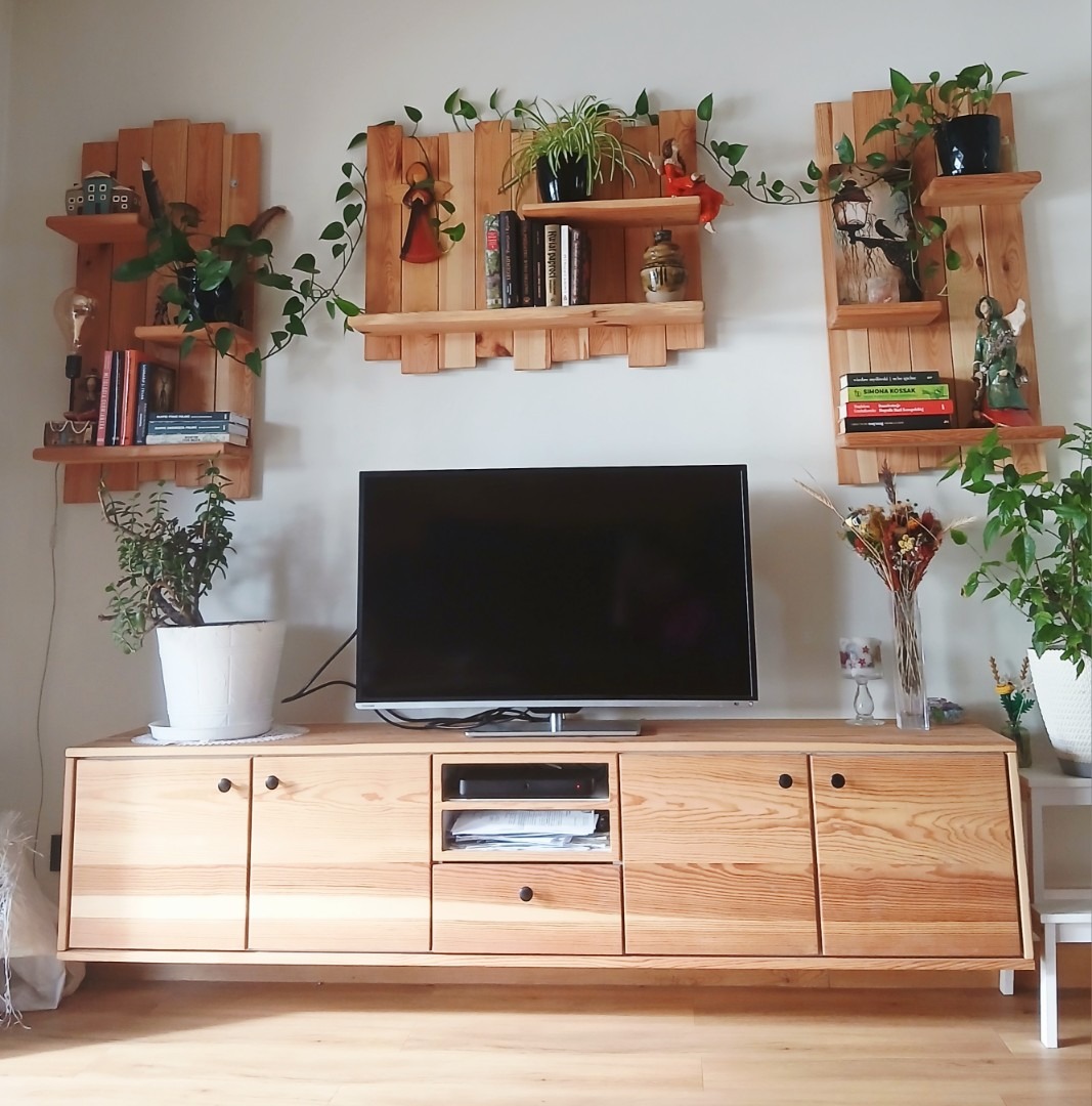 Drewniana szafka RTV z trzema półkami ściennymi z tego samego drewna, na których stoją książki i rośliny. Naturalne oświetlenie, jasne drewno, minimalistyczny design.